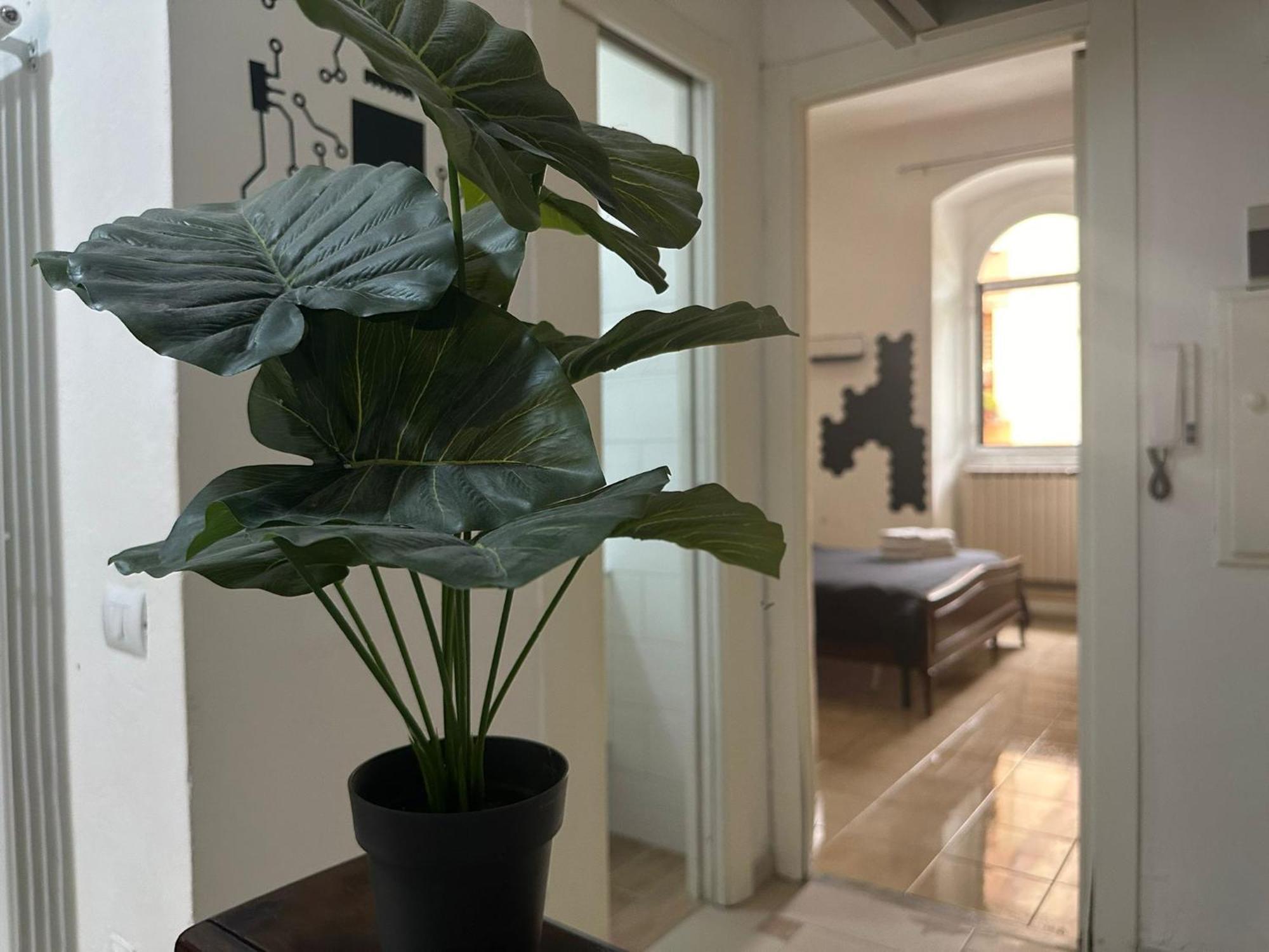 Appartamento La Spezia Stazione Centrale - Black מראה חיצוני תמונה